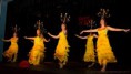 /album/dance-of-love-2015-praha-kazafy-troupe-international/jj-pu-dance-of-love-2015-162-jpg/